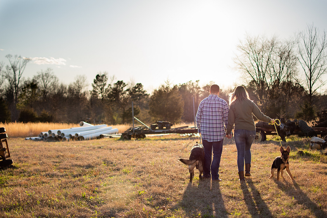 Family walking together with their dogs in warm evening light