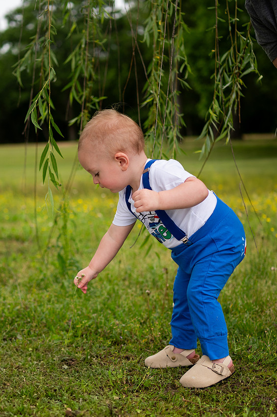 One-year-old exploring beneath a willow tree